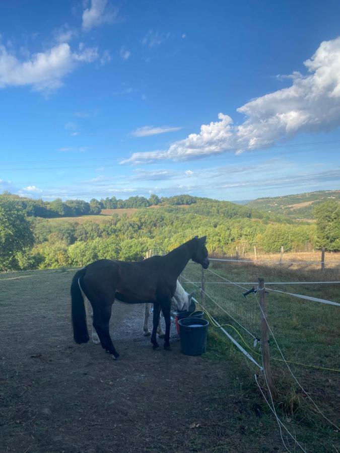 Chez Sophie - Gite Et Gite Equestre Clermont-Dessous Bagian luar foto